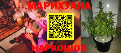 хмурый Дубна