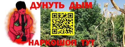 хмурый Дубна