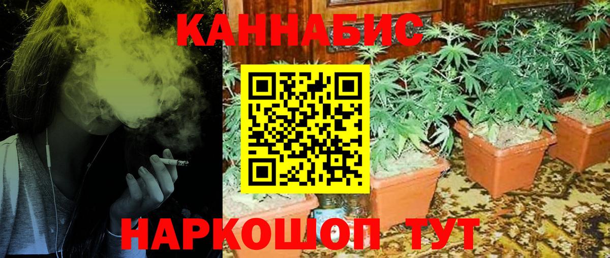 Марихуана OG Kush Магнитогорск